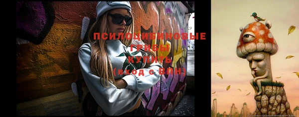 гашик Балабаново