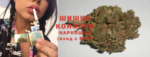 дживик Няндома